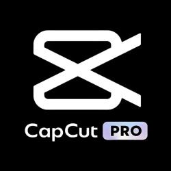Capcut Pro — подписка на 1 месяц старый аккаунт (Активация сотрудником) - фото